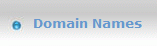 Domain Names