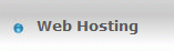 Web Hosting